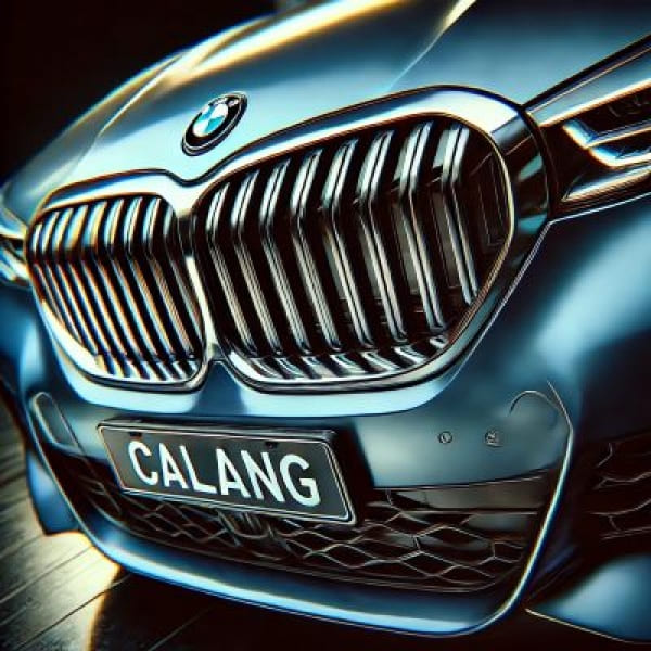 Lắp đặt mặt ca lăng BMW chính hãng, chất lượng cao