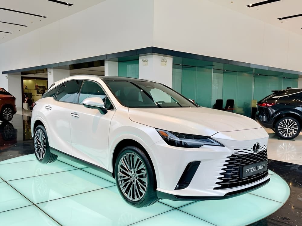 Top 9 phụ kiện Lexus RX350 phổ biến nhất 2025