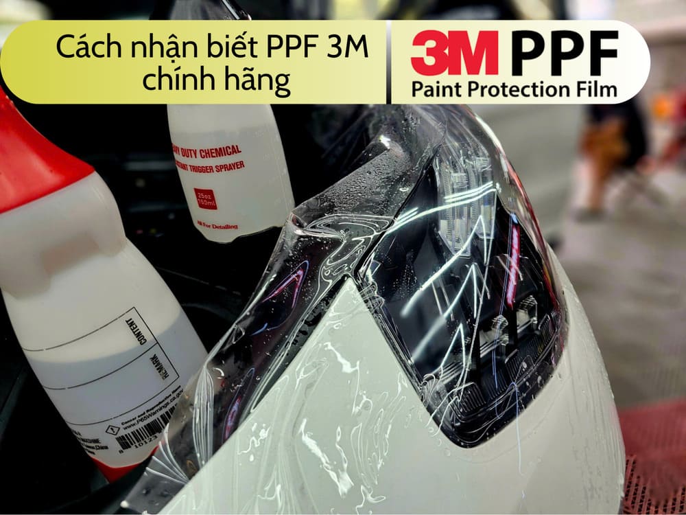 Cách nhận biết PPF 3M chính hãng