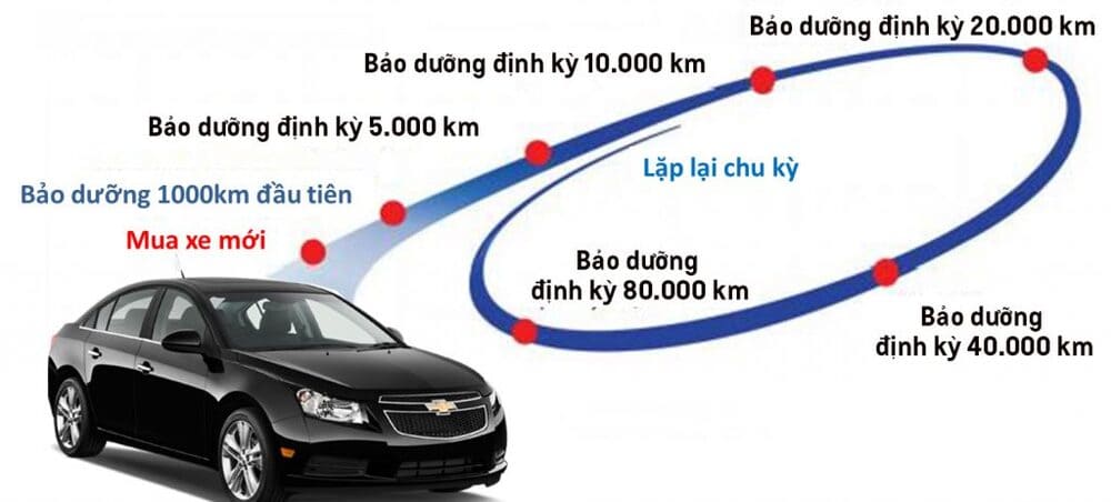 Thay dầu nhớt định kỳ cho xe ô tô