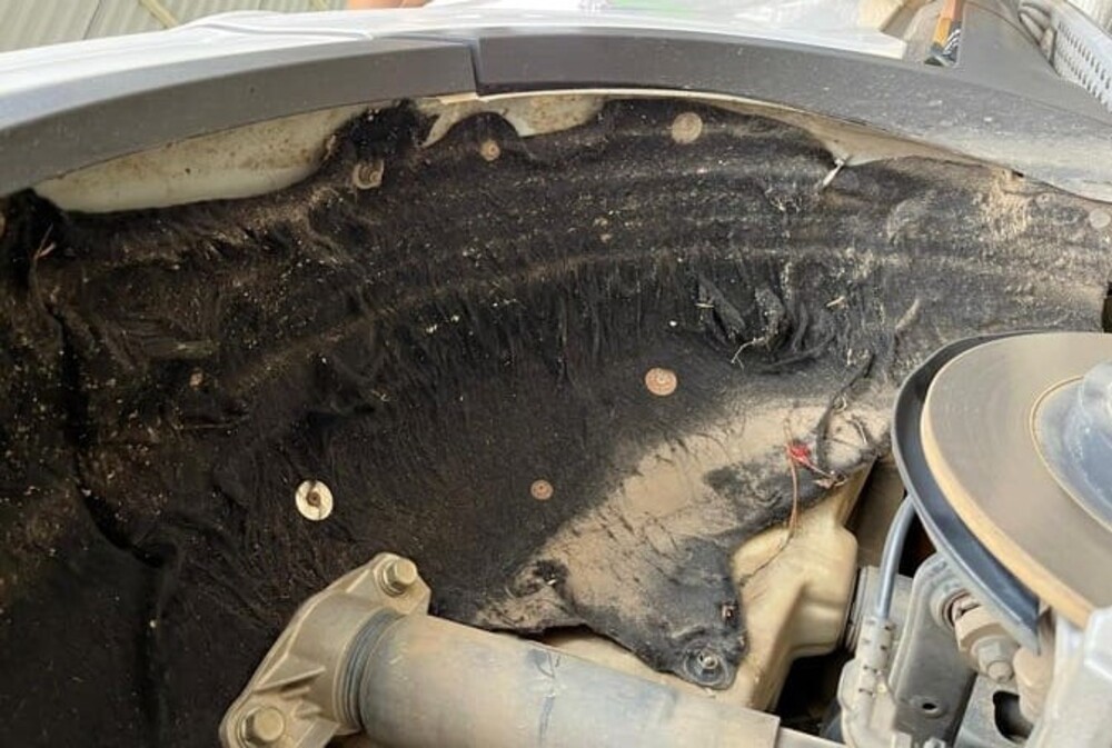 Lòng vè ô tô xuống cấp trầm trọng