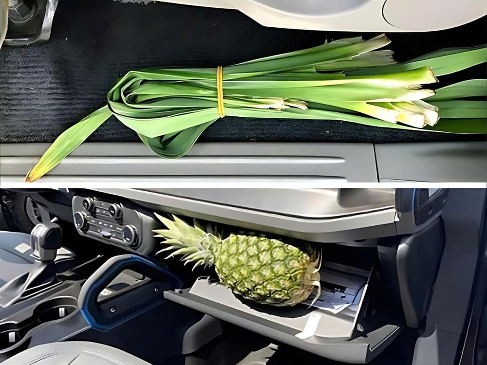 Sử dụng các nguyên liệu tự nhiên để khử mùi